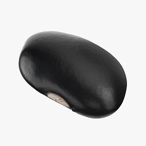 3D model Black Bean - Raw Scan