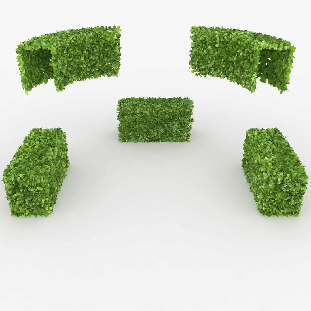 realistic hedge 06 x