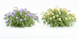 3D flowering bushes collection vol 43-Blender