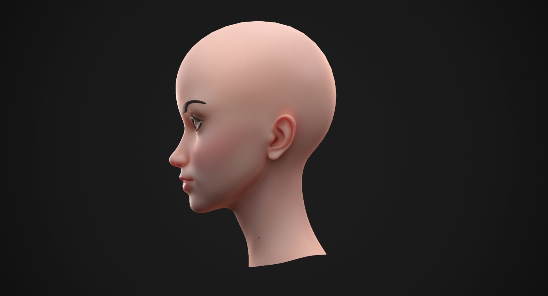 stylized female head 2 3D model https://p.turbosquid.com/ts-thumb/4W/gWkxLM/04YmabSl/16/jpg/1496176604/1920x1080/fit_q87/a894122ddfd55707940c1e1e514c81c547373a88/16.jpg
