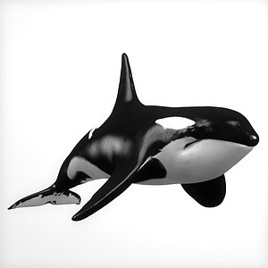 Killer Whale Animation Rig C4D