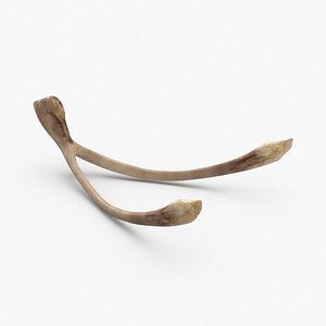 Wishbone