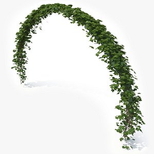 Ivy Arch