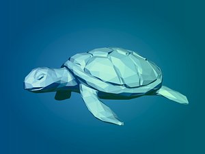 Low Poly Sea Turtle 3D