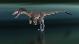 Austroraptor 3D model