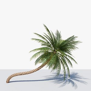 3D Date Palm v3