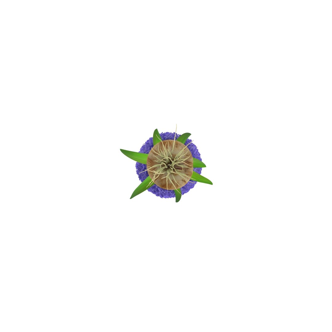 3d hyacinthus orientali plant model https://p.turbosquid.com/ts-thumb/4X/GHEhbP/YxUip3nQ/10/jpg/1489218905/1920x1080/fit_q87/cdf1b1191949d9073f80cbcc9a61f5d01c6fb85f/10.jpg