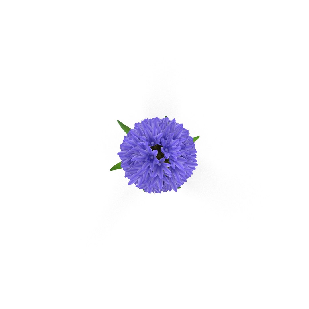 3d hyacinthus orientali plant model https://p.turbosquid.com/ts-thumb/4X/GHEhbP/cewoFS60/9/jpg/1489218905/1920x1080/fit_q87/72cc695e5779251dfbd967dab4137d3da245bf59/9.jpg