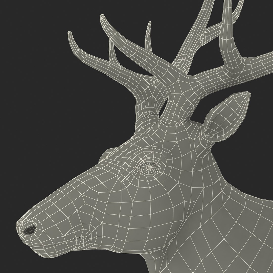c4d elk pose 2 https://p.turbosquid.com/ts-thumb/4X/NVjBEP/36c5ftu2/3dsmodelofelk39/jpg/1447699324/1920x1080/fit_q87/2873df0f42fa5a0c54e8c88ef0a28ad2b6a11b59/3dsmodelofelk39.jpg