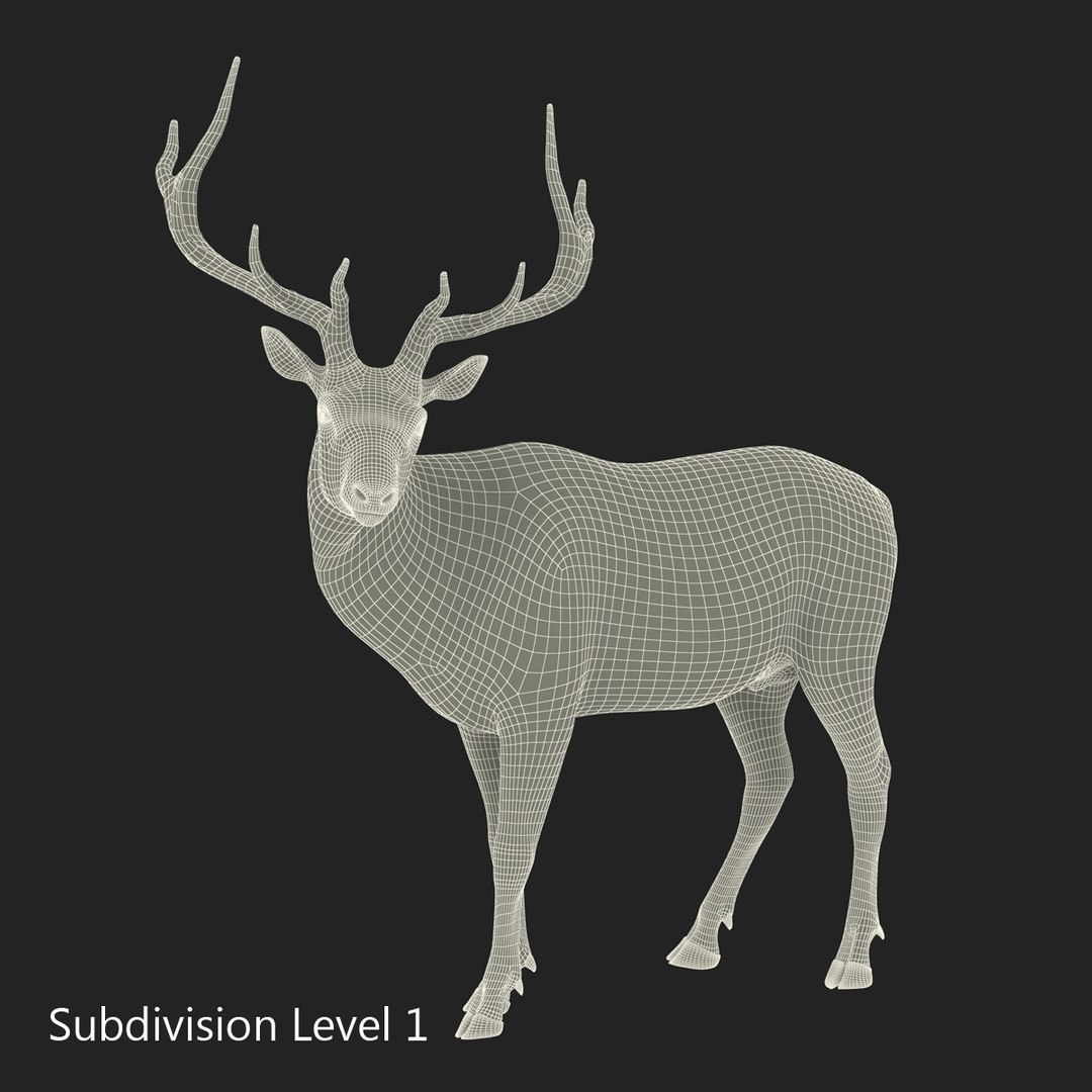 c4d elk pose 2 https://p.turbosquid.com/ts-thumb/4X/NVjBEP/6YOgISxm/3dsmodelofelk27/jpg/1447699324/1920x1080/fit_q87/3803029e75e43f87a230918967afe043a6903f2c/3dsmodelofelk27.jpg