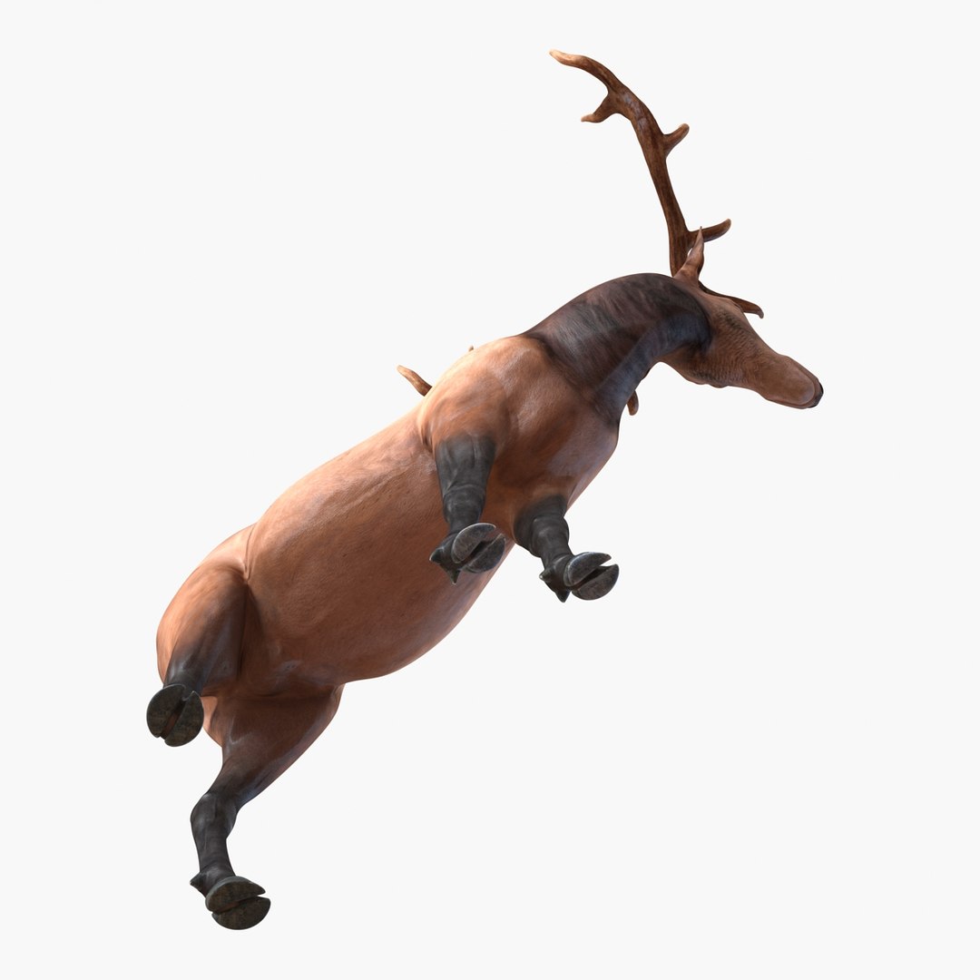 c4d elk pose 2 https://p.turbosquid.com/ts-thumb/4X/NVjBEP/BnahzITP/3dsmodelofelk04/jpg/1447699322/1920x1080/fit_q87/67678cf60403ec52330daf1b11826ee53f76d03d/3dsmodelofelk04.jpg