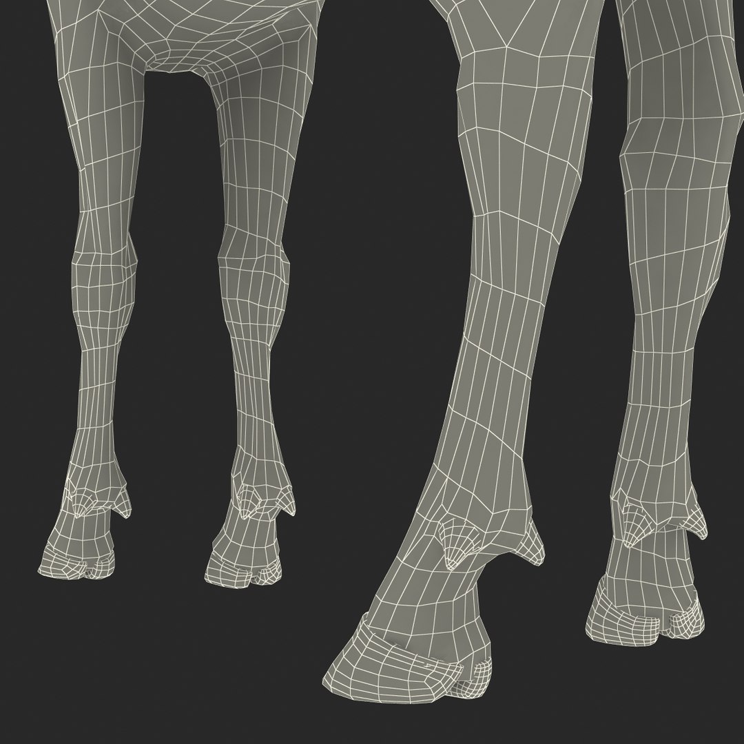 c4d elk pose 2 https://p.turbosquid.com/ts-thumb/4X/NVjBEP/C8tfrCK1/3dsmodelofelk36/jpg/1447699324/1920x1080/fit_q87/c8af787e9e5c8e05b5929ca91654b8e5debf05de/3dsmodelofelk36.jpg