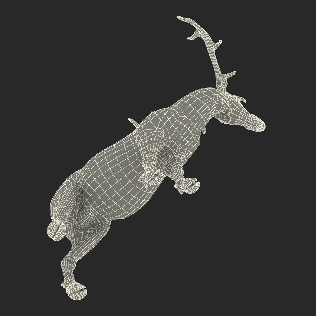c4d elk pose 2 https://p.turbosquid.com/ts-thumb/4X/NVjBEP/E9mo1p9g/3dsmodelofelk35/jpg/1447699324/1920x1080/fit_q87/cd6f50991cd56a36e7436259aa3ab6f348892499/3dsmodelofelk35.jpg