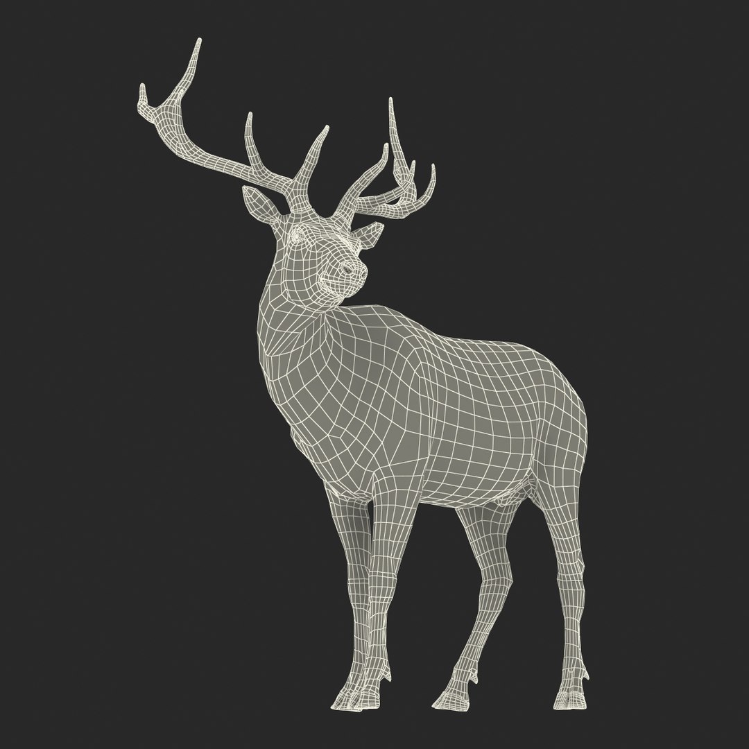 c4d elk pose 2 https://p.turbosquid.com/ts-thumb/4X/NVjBEP/KaCAtiUn/3dsmodelofelk33/jpg/1447699324/1920x1080/fit_q87/d4cdf6e52b2387543b44158d62ca8cbc08a93e57/3dsmodelofelk33.jpg