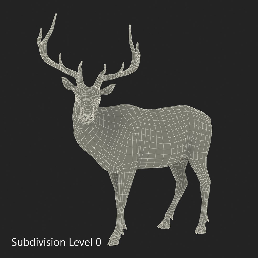 c4d elk pose 2 https://p.turbosquid.com/ts-thumb/4X/NVjBEP/Q6c0PjyX/3dsmodelofelk26/jpg/1447699323/1920x1080/fit_q87/a9d78804746774d62ddca4dcdd8e5fca558c6462/3dsmodelofelk26.jpg
