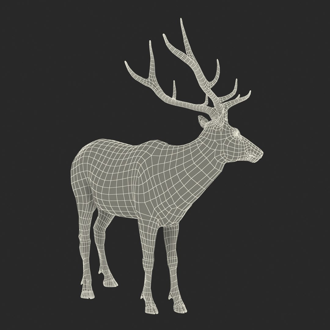 c4d elk pose 2 https://p.turbosquid.com/ts-thumb/4X/NVjBEP/TLNEMHBd/3dsmodelofelk32/jpg/1447699324/1920x1080/fit_q87/2fe74a5997e0b4e65bad18e9037d35d2bcde409c/3dsmodelofelk32.jpg