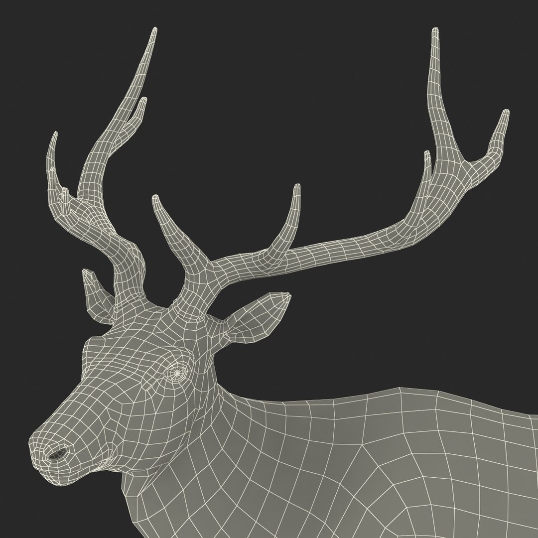 c4d elk pose 2 https://p.turbosquid.com/ts-thumb/4X/NVjBEP/TLgZHbyO/3dsmodelofelk38/jpg/1447699324/1920x1080/fit_q87/1933552a18df701d67ecfd637d817d6f4f93a680/3dsmodelofelk38.jpg