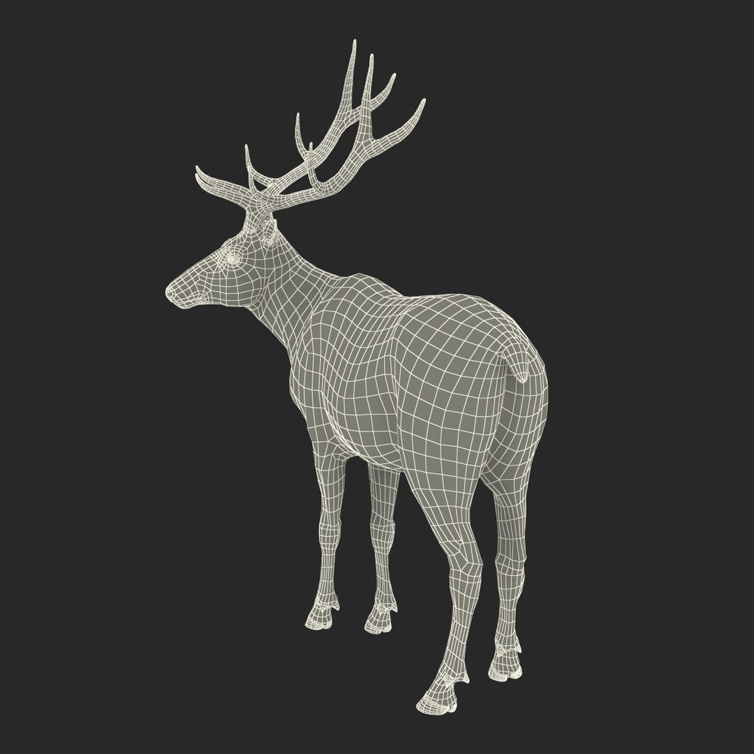 c4d elk pose 2 https://p.turbosquid.com/ts-thumb/4X/NVjBEP/cixLbXc7/3dsmodelofelk34/jpg/1447699324/1920x1080/fit_q87/14703964dd5db91a6d356305641160c7dff02872/3dsmodelofelk34.jpg