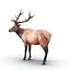 Elk Pose 2