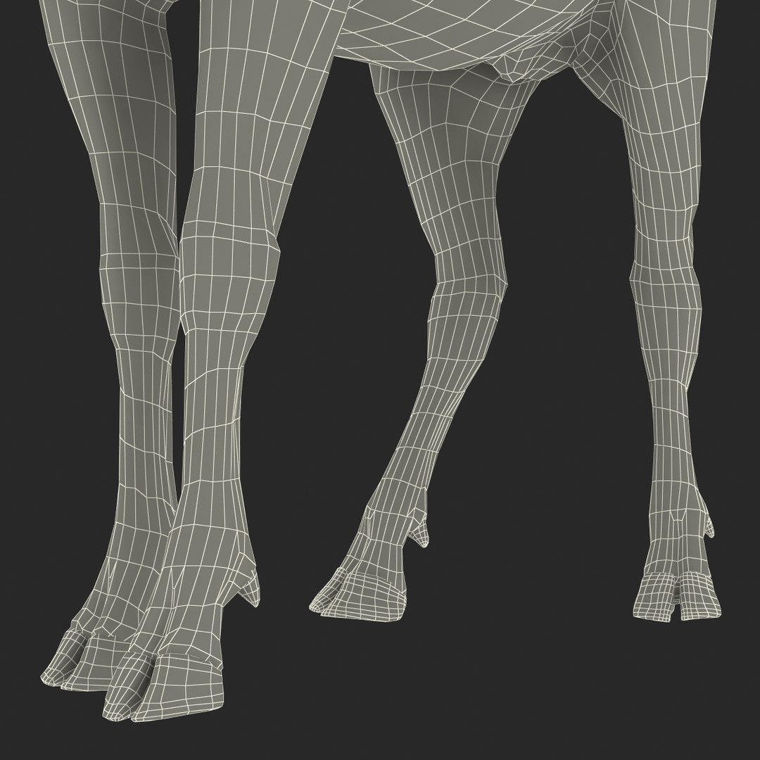 c4d elk pose 2 https://p.turbosquid.com/ts-thumb/4X/NVjBEP/eWgYjMCc/3dsmodelofelk37/jpg/1447699324/1920x1080/fit_q87/4f6035007795c5417b95dde1c01c224c49e7ef35/3dsmodelofelk37.jpg