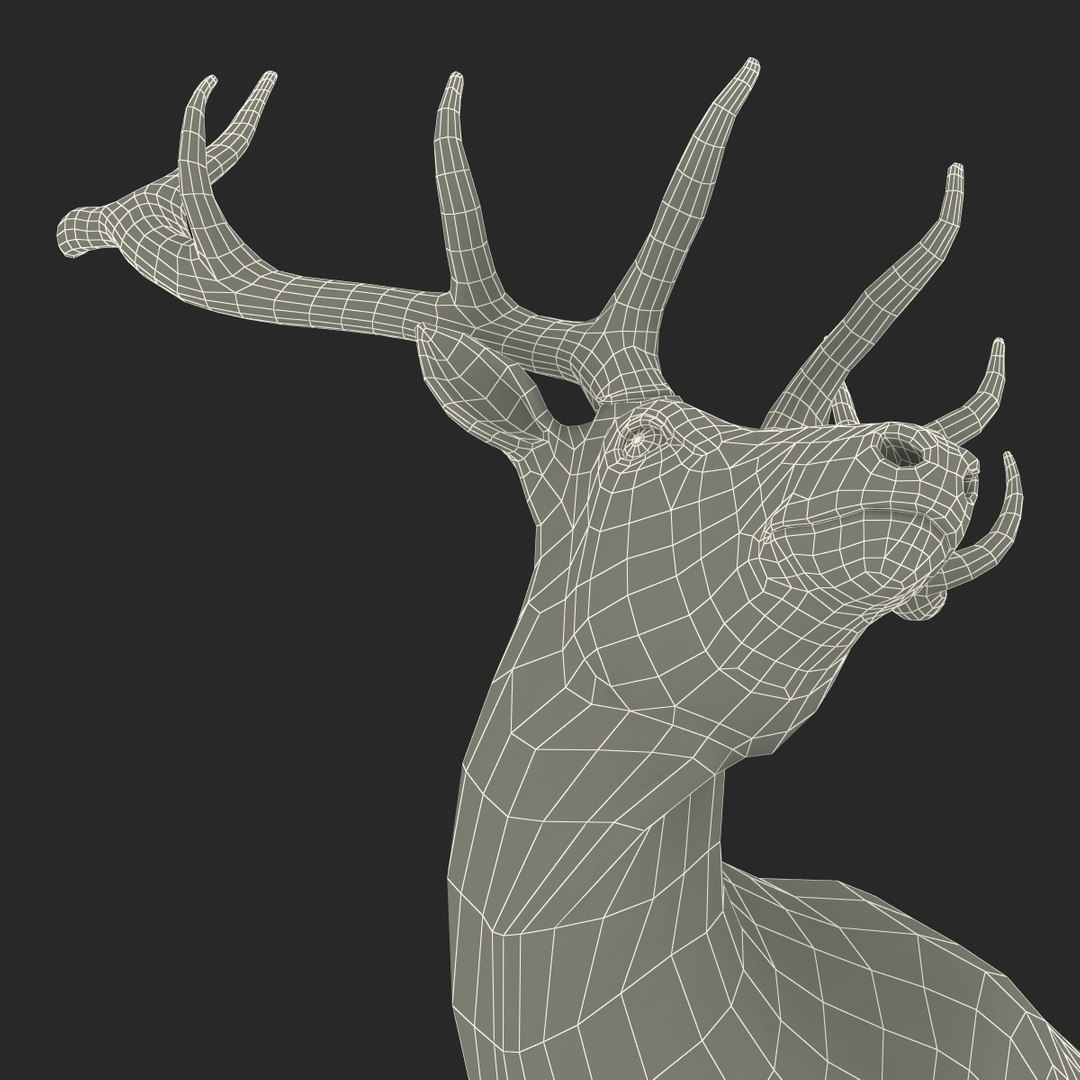 c4d elk pose 2 https://p.turbosquid.com/ts-thumb/4X/NVjBEP/qIWJeHqG/3dsmodelofelk40/jpg/1447699325/1920x1080/fit_q87/b33e2344ac2352a7b3acce8cff9c250cb0fdac4b/3dsmodelofelk40.jpg