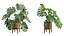 3D model Stand Pot Plant Monstera Deliciosa