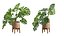 3D model Stand Pot Plant Monstera Deliciosa