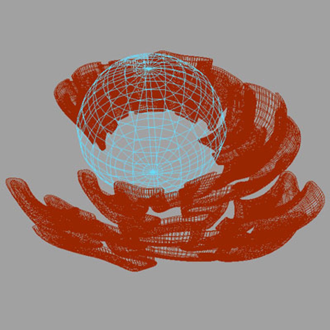 Nucleus Rough Reticulum 3d Ma