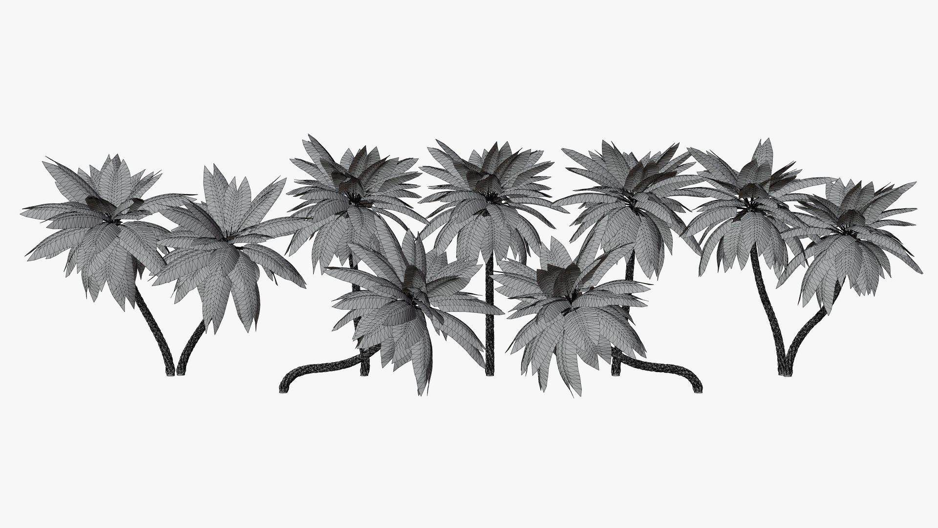 3D Date Palms Collection model https://p.turbosquid.com/ts-thumb/4X/bR518H/82/345/png/1683828745/1920x1080/fit_q87/04206f266a4f06e68ad25b4f0f2a11b80d6b4de6/345.jpg