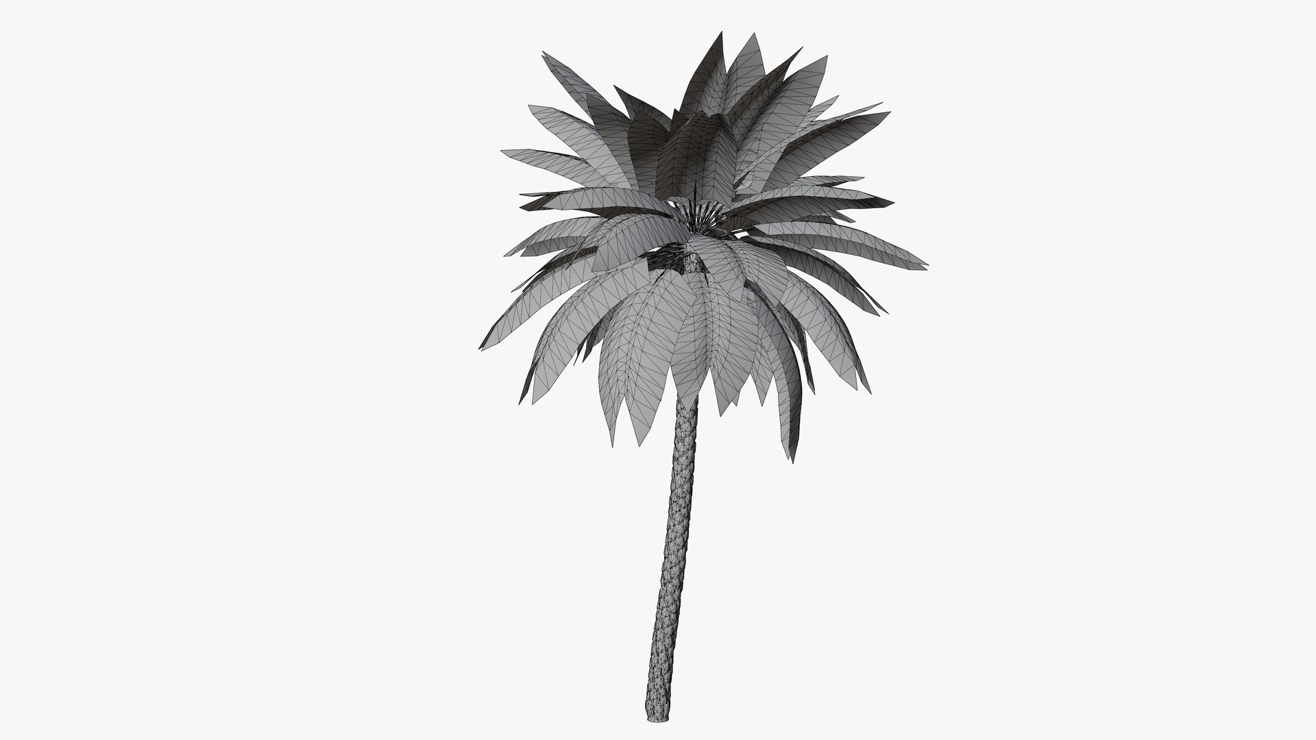 3D Date Palms Collection model https://p.turbosquid.com/ts-thumb/4X/bR518H/J9/6/png/1673870627/1920x1080/fit_q87/b622df2f087c0e449415e6c2e8a4f4128b1f1519/6.jpg
