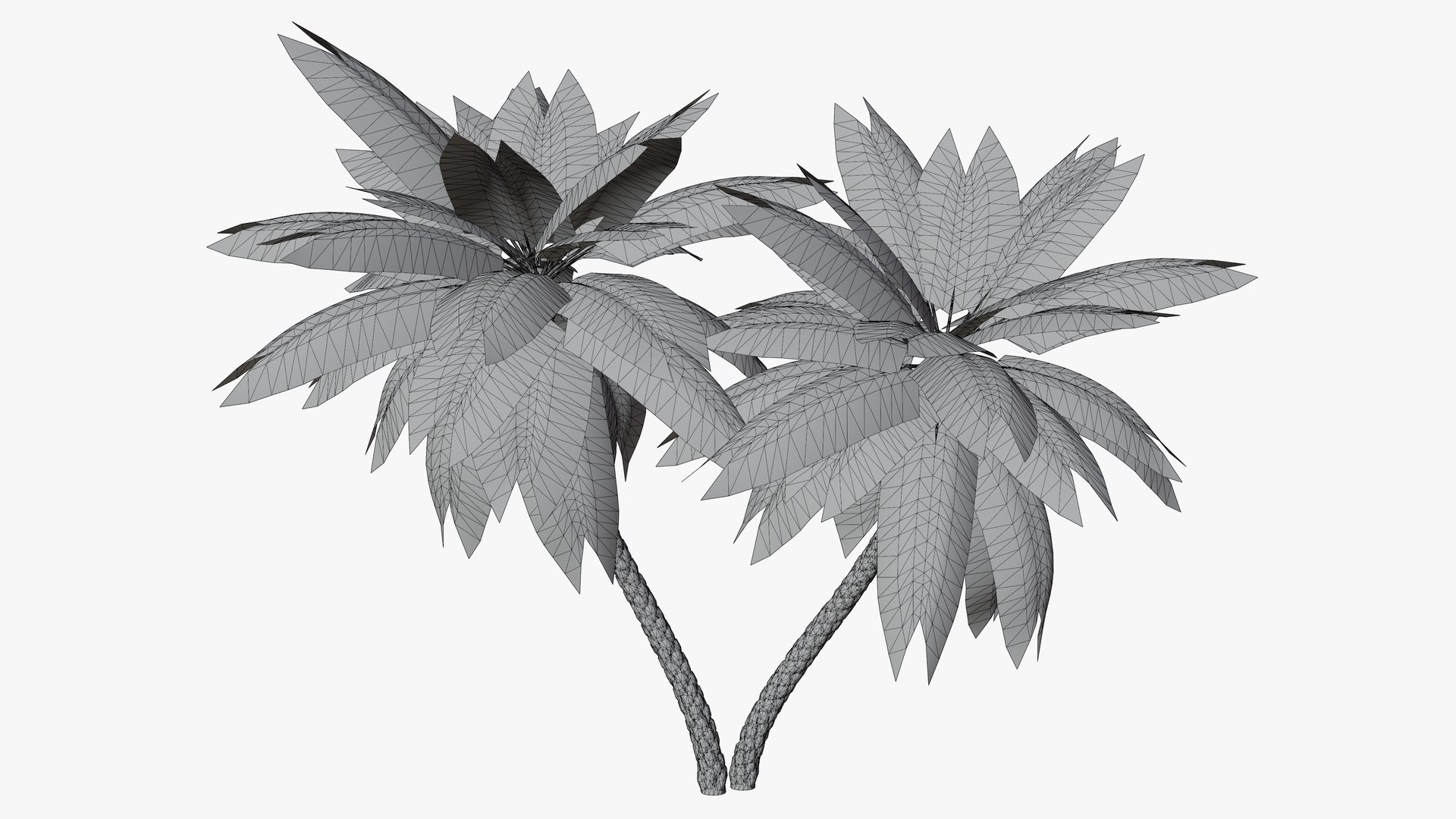 3D Date Palms Collection model https://p.turbosquid.com/ts-thumb/4X/bR518H/Nh/02/png/1674128627/1920x1080/fit_q87/bb21b33e0f1787d378769e3b179bc1bac6d2d2e9/02.jpg