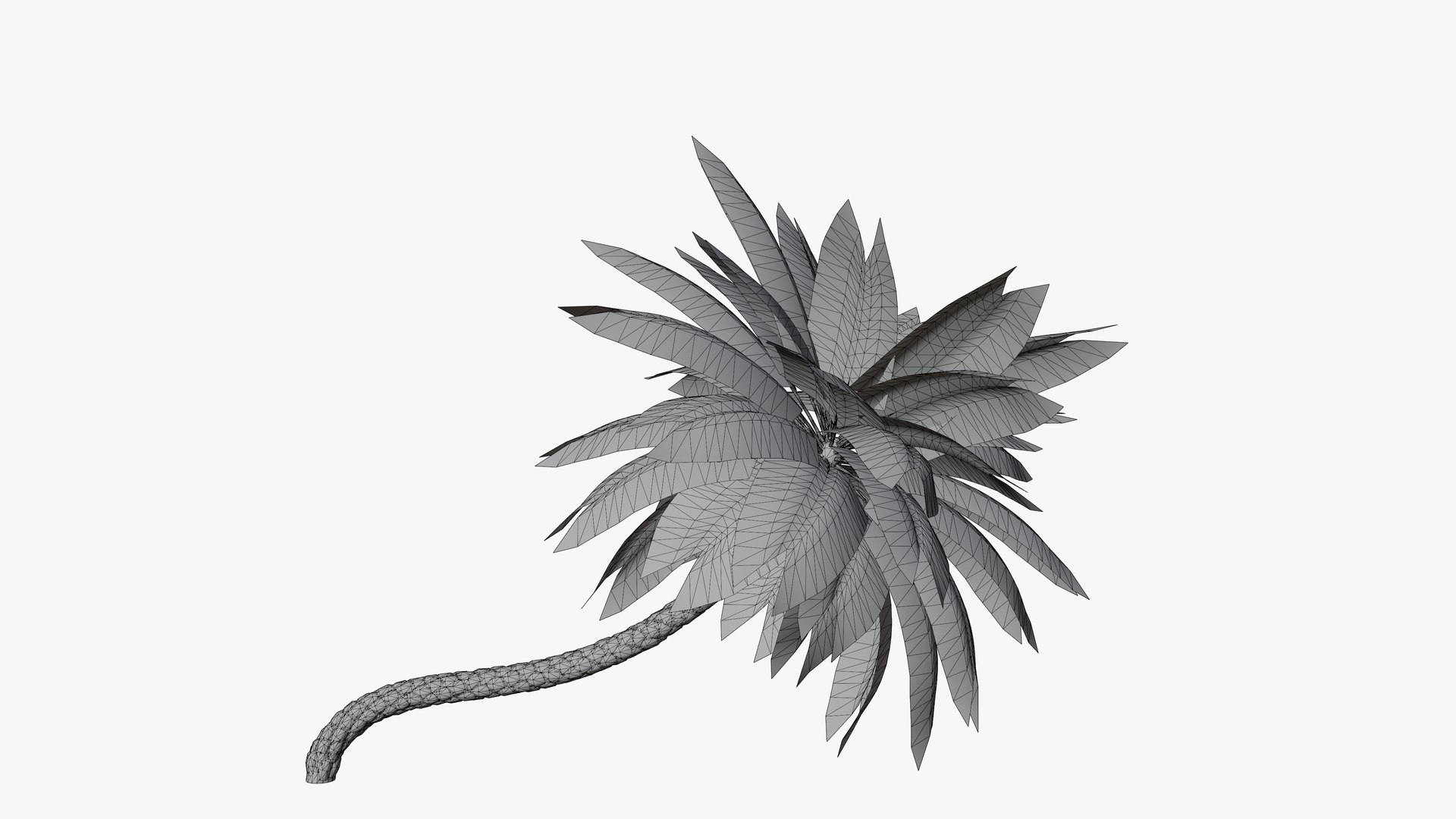 3D Date Palms Collection model https://p.turbosquid.com/ts-thumb/4X/bR518H/P1/02/png/1673974067/1920x1080/fit_q87/11362969761967787cc954d6128f409204be3f06/02.jpg