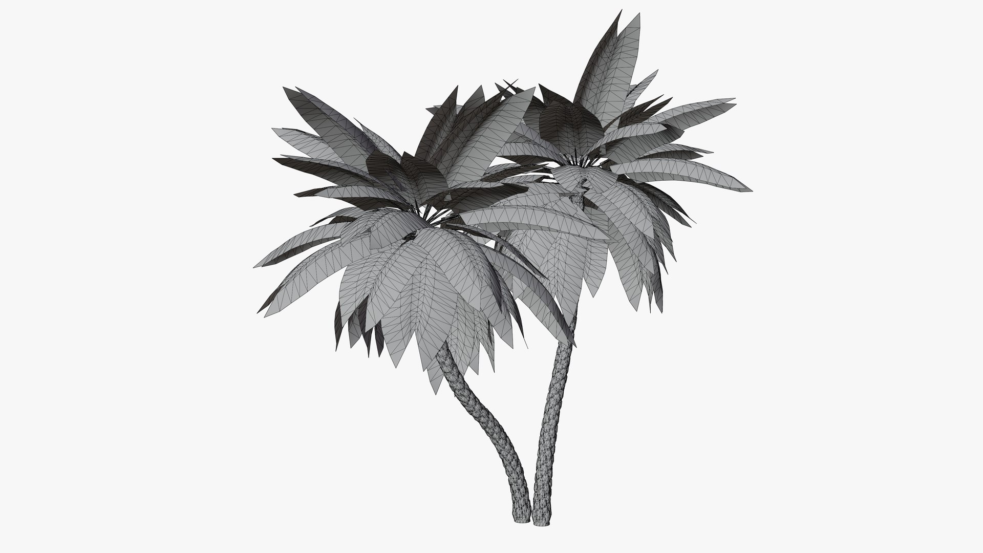 3D Date Palms Collection model https://p.turbosquid.com/ts-thumb/4X/bR518H/yi/02/png/1674044720/1920x1080/fit_q87/eb4e915eed4a62cbdc8e78a570041e1fe4c6146f/02.jpg