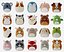 Коллекция плюшевых игрушек Squishmallows
