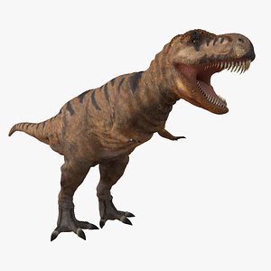 tyrannosaurus rex 3d model