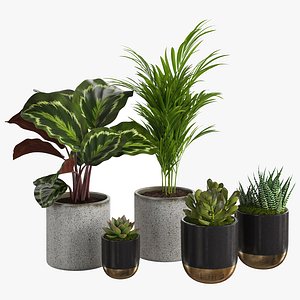 Houseplant 85 3D model