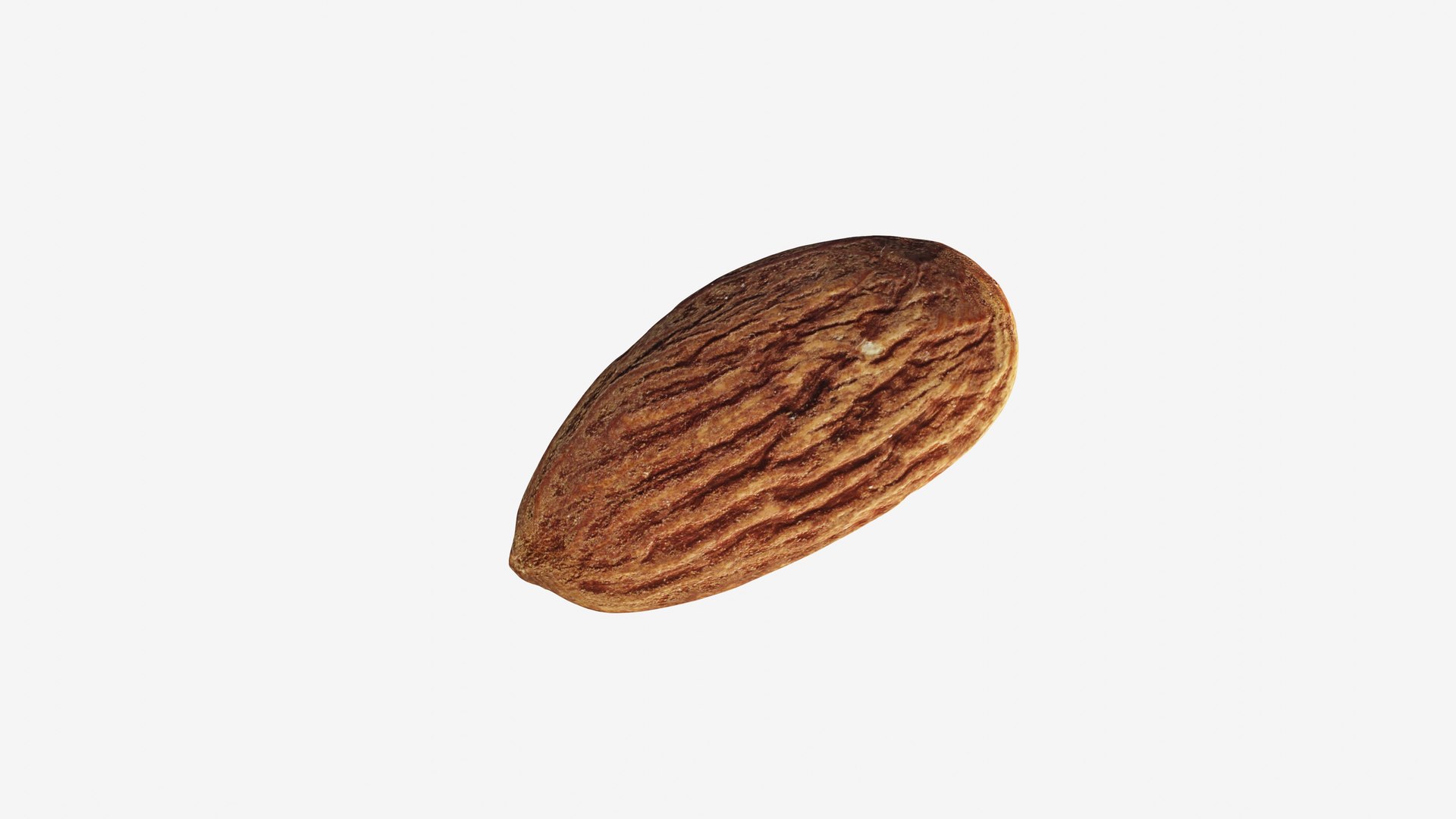 Scanned almond nut 3D https://p.turbosquid.com/ts-thumb/4Y/0FmOd1/LM/view_020001/jpg/1744313213/1920x1080/fit_q87/adf097559046359aa3f101985d93875862988bd1/view_020001.jpg