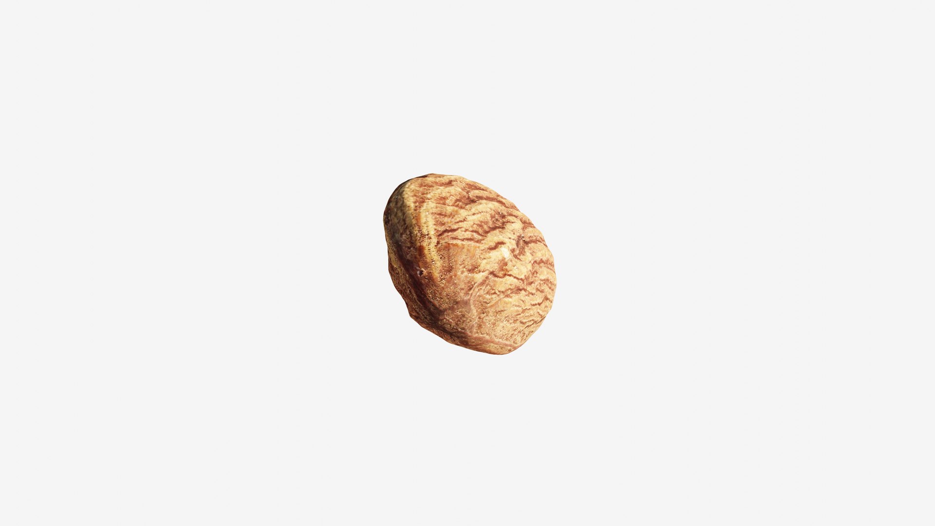 Scanned almond nut 3D https://p.turbosquid.com/ts-thumb/4Y/0FmOd1/oc/view_110001/jpg/1744313221/1920x1080/fit_q87/4fe4abd3d1943e3be8f516cc45a185640a88c905/view_110001.jpg