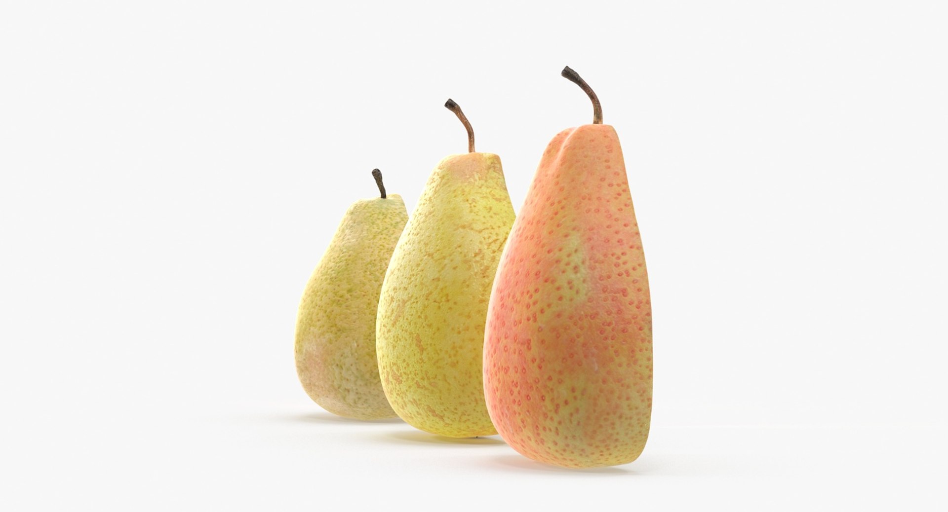 3d pear cross section https://p.turbosquid.com/ts-thumb/4Y/36rIfK/AAvnUW6H/pear_productshot_0006/jpg/1452621503/1920x1080/fit_q87/52de24fd8021e203fc23bcc617223d36d850ebf3/pear_productshot_0006.jpg