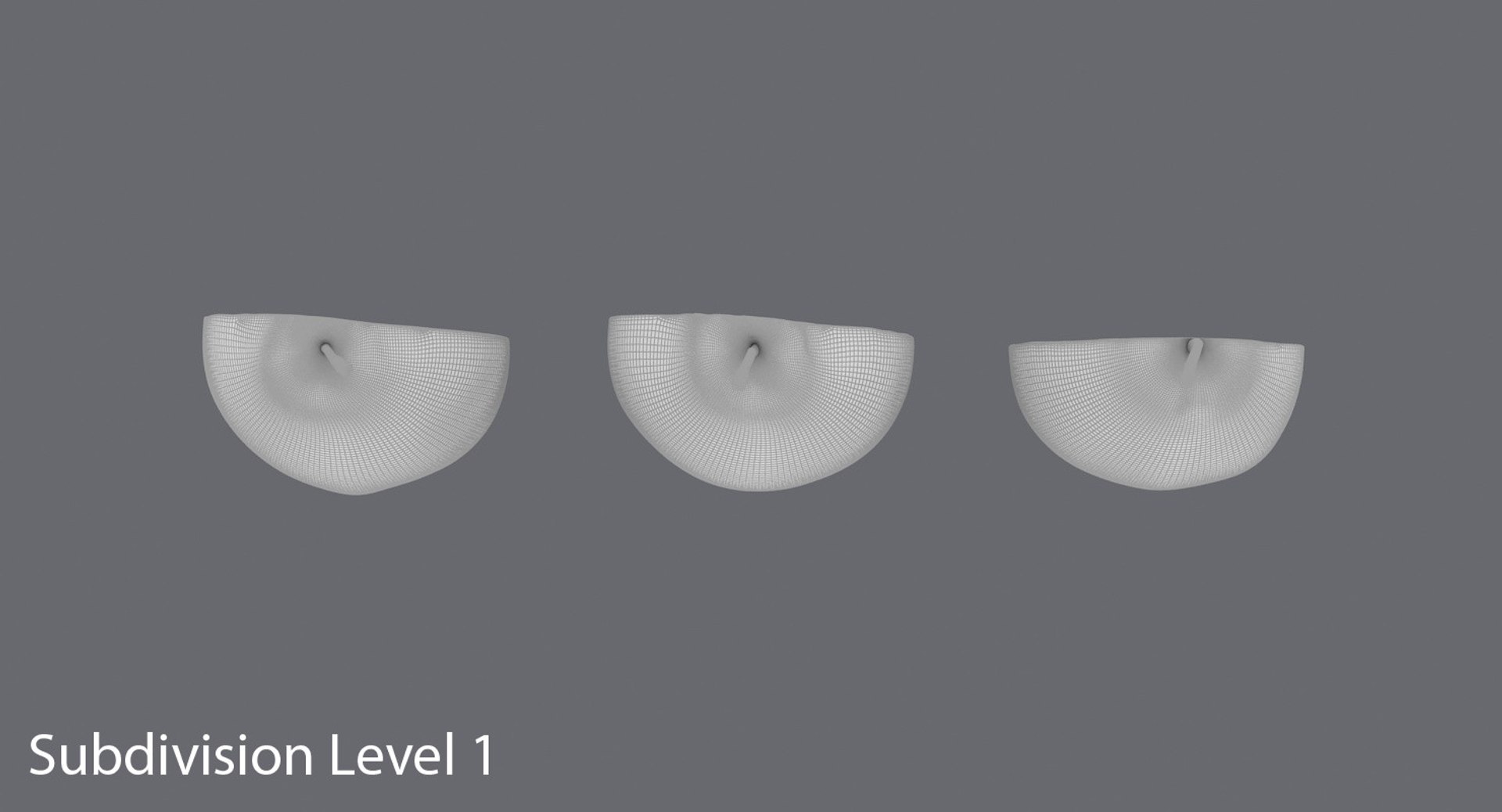 3d pear cross section https://p.turbosquid.com/ts-thumb/4Y/36rIfK/kVhw2djl/pear_subdivisions_0004/jpg/1452621675/1920x1080/fit_q87/fe6b62dec2fa3983980bda1a511388a1bd0d3713/pear_subdivisions_0004.jpg