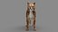 Cougar 3D model