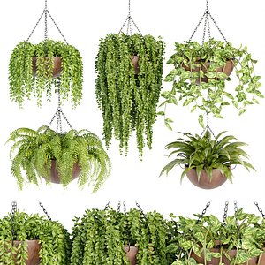 Hanging plants collection vol 33 3D model