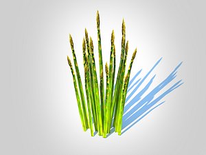 Asparagus