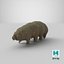 Tardigrade