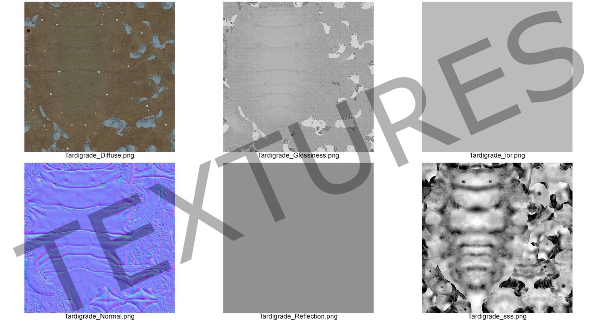 tardigrade microscopic water 3D model https://p.turbosquid.com/ts-thumb/4Y/MBXGqz/9GpxCc7e/tardigrademb3dmodel014/jpg/1560382966/1920x1080/fit_q87/28fefa233cb7bc102a8533368347a9dfd5ed317f/tardigrademb3dmodel014.jpg