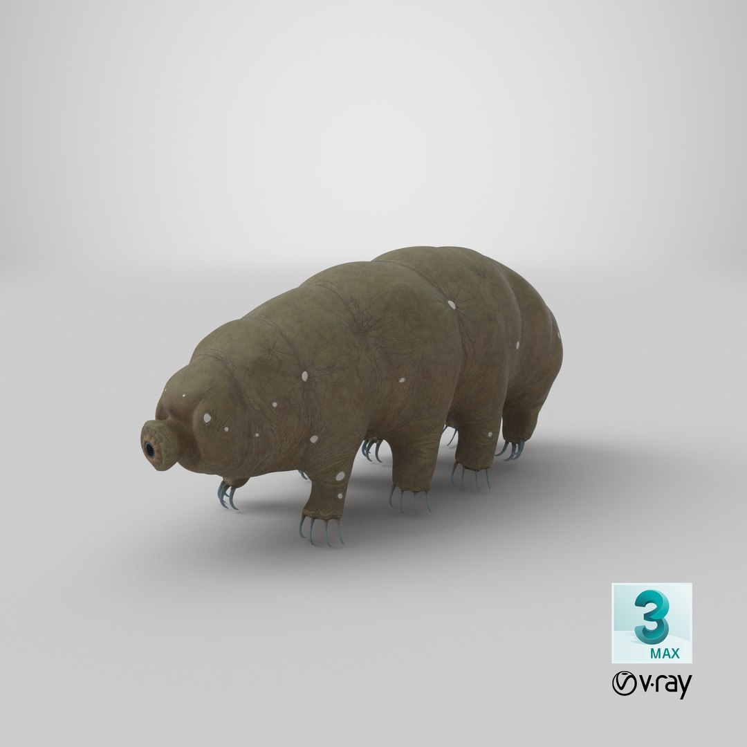 tardigrade microscopic water 3D model https://p.turbosquid.com/ts-thumb/4Y/MBXGqz/BehDkmXk/stemcell_max_vray_render/png/1578980879/1920x1080/fit_q87/ebea96ce885b5b1e837ad56031fcd1dffacd73e2/stemcell_max_vray_render.jpg