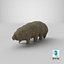 Tardigrade