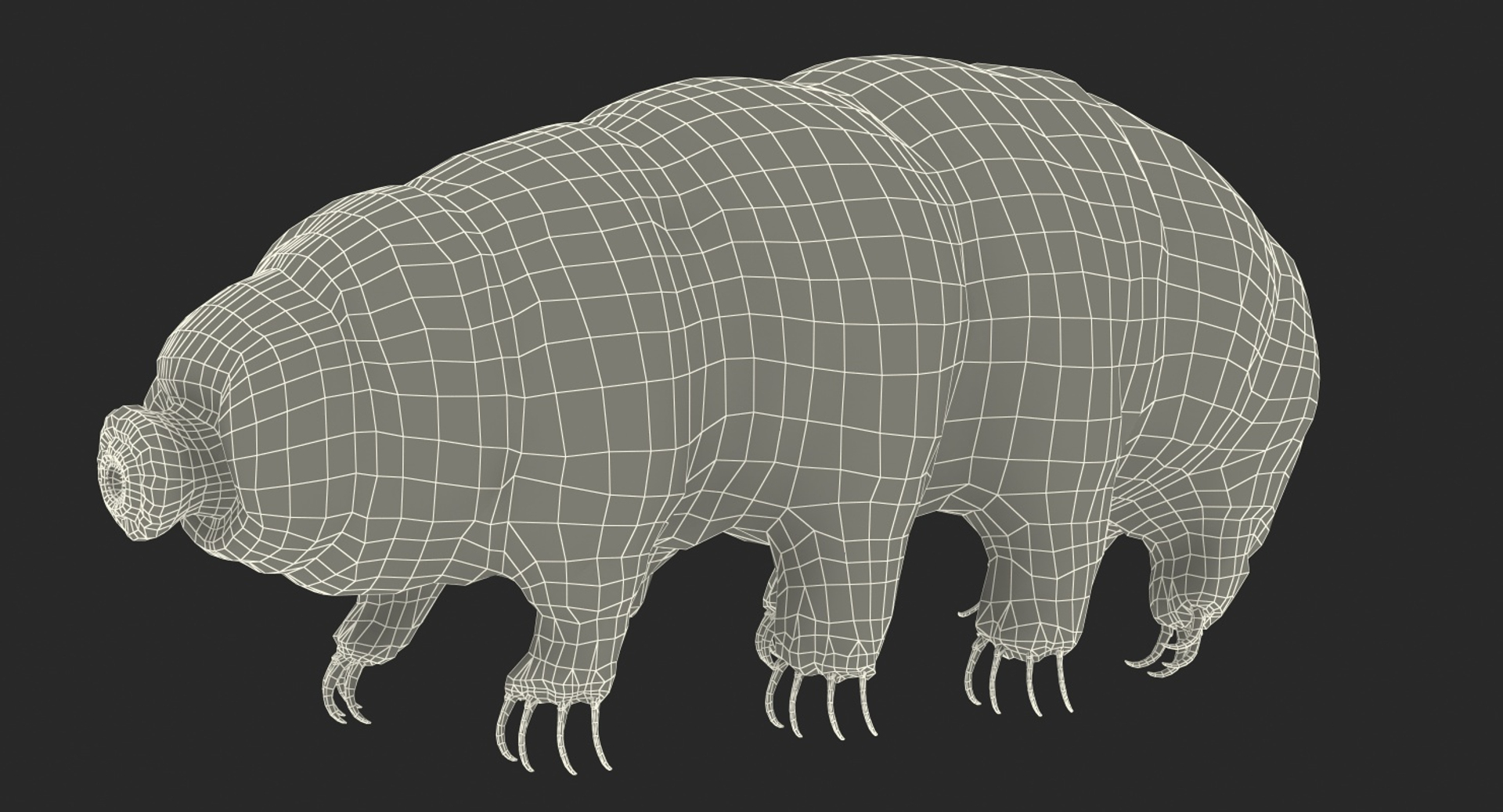 tardigrade microscopic water 3D model https://p.turbosquid.com/ts-thumb/4Y/MBXGqz/DDDWzP5I/tardigrade_361/jpg/1560382522/1920x1080/turn_fit_q99/cc954636df2a62ad6a5bb3b972dd4e5c3289fd2e/tardigrade_361-1.jpg