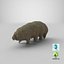 Tardigrade