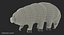 Tardigrade